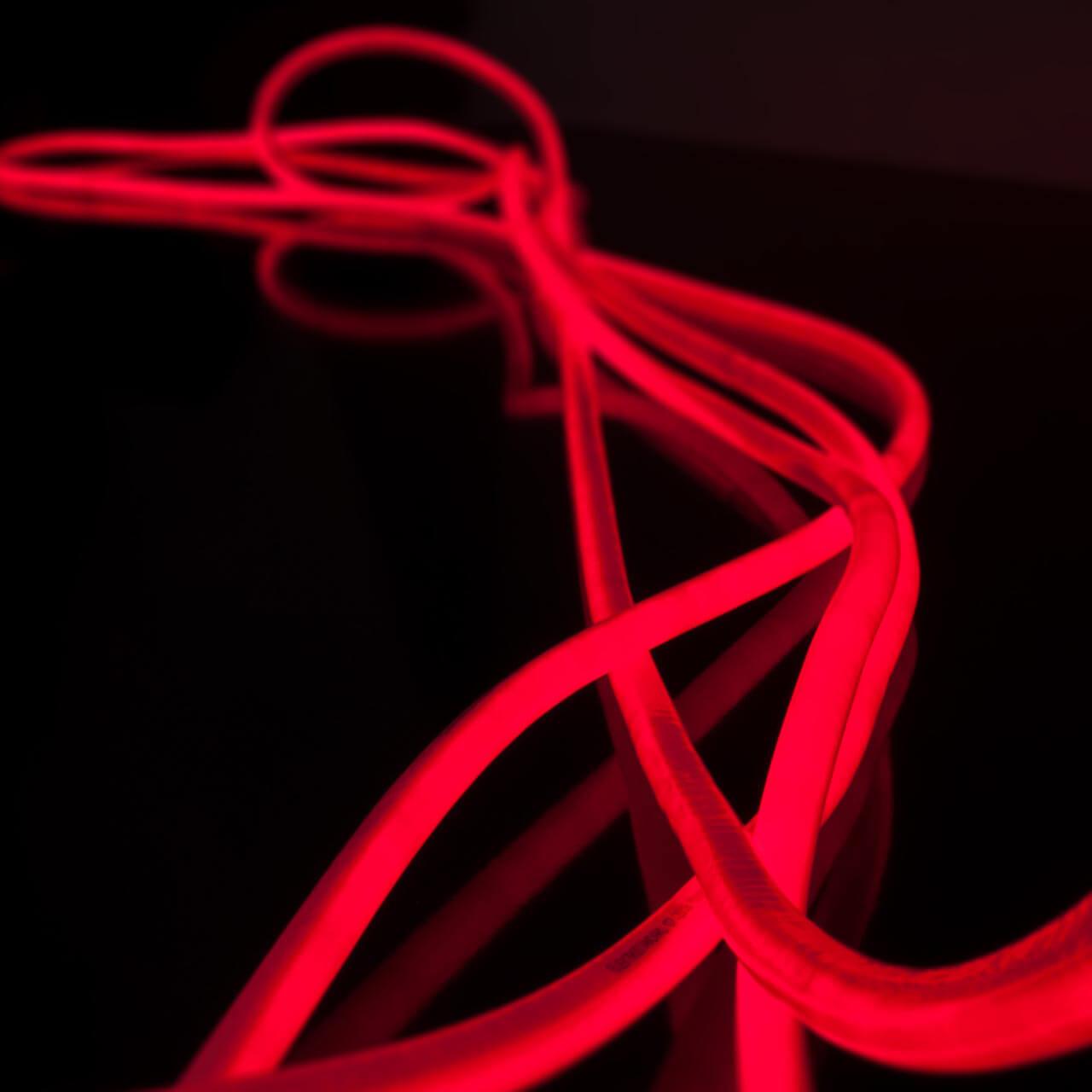 фото гибкий неон elektrostandard 9,6w/m 144led/m 2835smd красный 50m a043549 | 220svet.ru