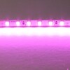 Миниатюра фото светодиодная лента lightstar 12w/m 120led/m розовый 5m 420512 | 220svet.ru