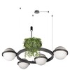 Миниатюра фото подвесной светильник loft it jardin 10121/4 dark grey | 220svet.ru