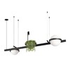 Миниатюра фото подвесной светильник loft it jardin 10121/d | 220svet.ru
