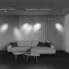 Миниатюра фото трековый магнитный светодиодный светильник maytoni focus led flarity led tr144-1-12w3k-w-pt | 220svet.ru