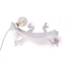 Миниатюра фото настенный светильник chameleon going down usb seletti | 220svet.ru