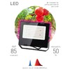 Миниатюра фото прожектор светодиодный эра 50w 1200k fito-50w-rb-led б0046368 | 220svet.ru