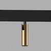 Миниатюра фото трековый магнитный светодиодный светильник elektrostandard dim cubo 85070/01 латунь a063529 | 220svet.ru