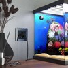 Миниатюра фото умная розетка с заземлением с защитными шторками werkel w1171608 | 220svet.ru