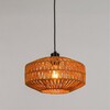 Миниатюра фото подвесной светильник arte lamp brushwood a7087sp-1bk | 220svet.ru