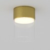 Миниатюра фото потолочный светильник maytoni glory c094cl-gx53-bs | 220svet.ru