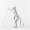 Миниатюра фото настольная лампа monkey lamp outdoor standing seletti | 220svet.ru