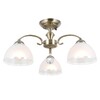 Миниатюра фото потолочная люстра citilux франческа cl417133 | 220svet.ru