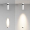 Миниатюра фото потолочный светильник maytoni focus led c055cl-l12w3k-ss-w | 220svet.ru