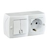Миниатюра фото выключатель - розетка mono electric octans ip20 двухклавишный - 2к+з белый 104-010101-181 | 220svet.ru