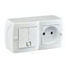 Миниатюра фото выключатель - розетка mono electric octans ip20 двухклавишный - 2к белый 104-010101-182 | 220svet.ru