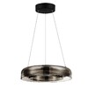 Миниатюра фото подвесной светодиодный светильник st luce foray sl6019.323.01 | 220svet.ru