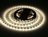 Миниатюра фото светодиодная лента дневной белый ambrella light 14,4w/m 60led/m 5050smd 4500к 5m gs2002 | 220svet.ru