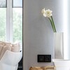 Миниатюра фото розетка с заземлением werkel черные матовый w1171008 | 220svet.ru