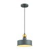 Миниатюра фото подвесной светильник odeon light bolli 4088/1 | 220svet.ru
