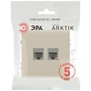 Миниатюра фото розетка эра arktik 16-3108-04 информационная двойная 2xrj45 шампань б0070487 | 220svet.ru