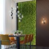 Миниатюра фото подвесная люстра odeon light 4818/6 | 220svet.ru