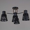 Миниатюра фото потолочная люстра reluce 06074-3.3-04 bk+fg | 220svet.ru