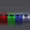 Миниатюра фото светодиодная лента rgb-белый lightstar 14,4w/m 60led/m  5m 421000 | 220svet.ru